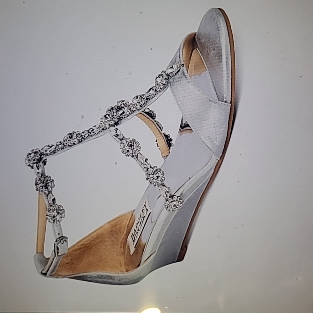 Badgley Mischka  fabulous shoes 8.5